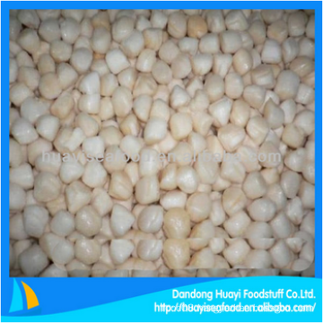 superior frozen bay scallop fresh seafood for sale
